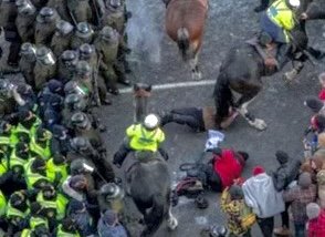 young man and elderly woman trampled